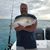 Brian Flaherty's profile image