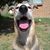 Kristina Kricket Jolliff's profile image