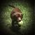 Scott Wiggs's profile image