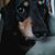 Julia Elaine Eichhorst's profile image