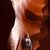 Candace Wostrel-Glatch's profile image
