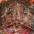 Ward Dave's profile image
