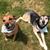 Debi Grunzinger Cukr's profile image