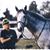 Debbie Spitzenpfeil's profile image
