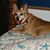 Monya Engle's profile image
