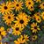 Kelli Eppley's profile image