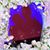 Gayle Cheadle's profile image