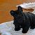 Trudy Dalton's profile image