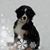 Dayna Merrow's profile image