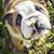 Claudia Soviero's profile image