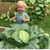 Barbara Schmidt's profile image