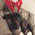 Connie Clark Brooks's profile image