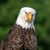Robert Lemley's profile image