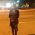 Priya Varghese's profile image