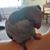Mary Beth Fuesting's profile image