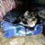JamesElizabeth McCormick's profile image