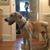 Randy Wolcott's profile image