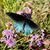 Chelle Mawhinney's profile image