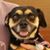 Pepper Moore's profile image
