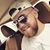 Sadmir Fejzic's profile image