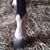 Susan Canaday's profile image
