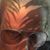 Bethany Ingham's profile image
