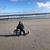 Phyllis Morris Wainscott's profile image