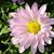 Karen Harp's profile image