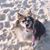 Victoria Willits's profile image