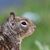 Bob Morrison's profile image