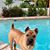 Lora Teasley Klein's profile image