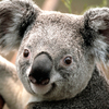 linsay b.'s profile image