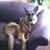 Diane Renzo's profile image