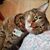 Liz Gohl Kencik's profile image