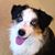 Jane Kallmyer Young's profile image