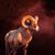 Marlen Balido's profile image