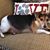 Mary Jane Erickson-Tupper's profile image