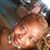 Retha M. Davis's profile image