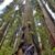 Dennis Sablan's profile image