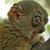 Heidi Bailey's profile image