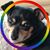 Maryann Mendoza's profile image