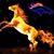 Vicki Johann's profile image