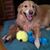 Brenda Farley's profile image