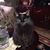 Pat Finegan Carlson's profile image