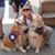 Christine Regan McDaniel's profile image