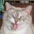 Eddie Moore's profile image
