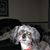Glenda Dopking's profile image