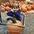 Gretchen Wiseman's profile image