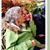 Jerri Bosch Manale's profile image
