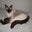 Gail Mitcavish's profile image